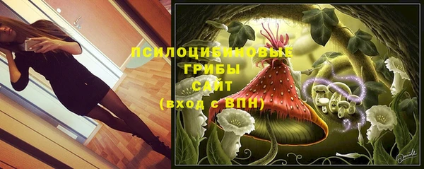 PSILOCYBIN Карпинск