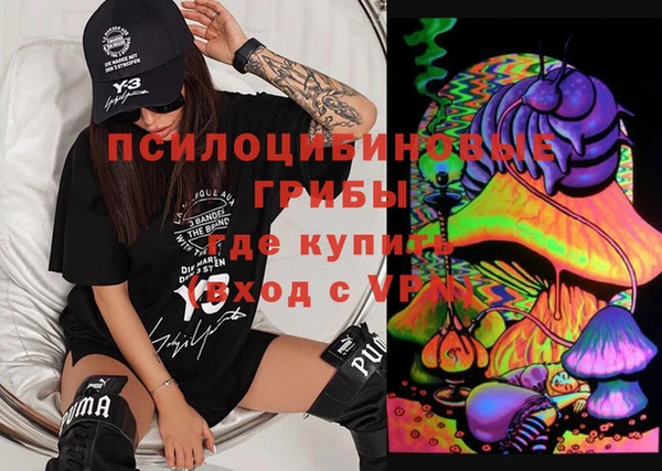 крисы Алексин